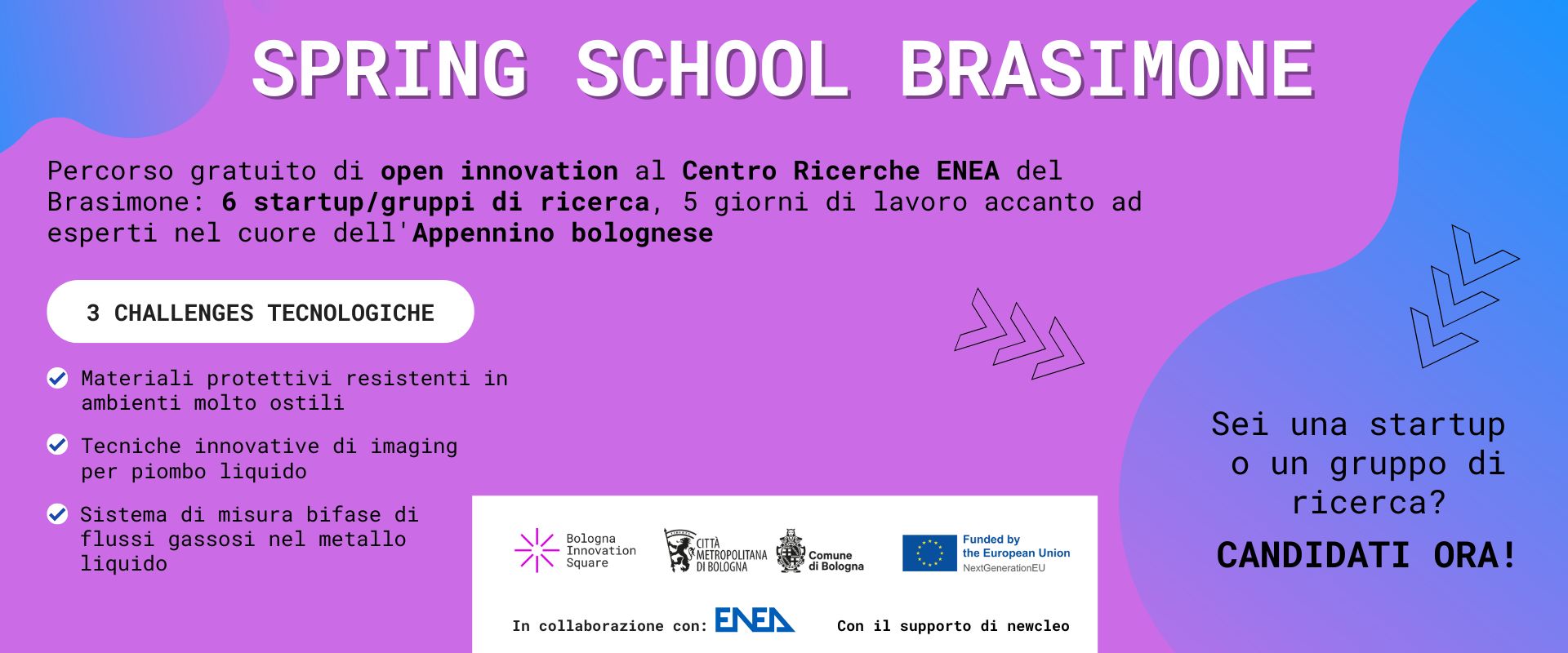 locandina evento_Spring School Brasimone