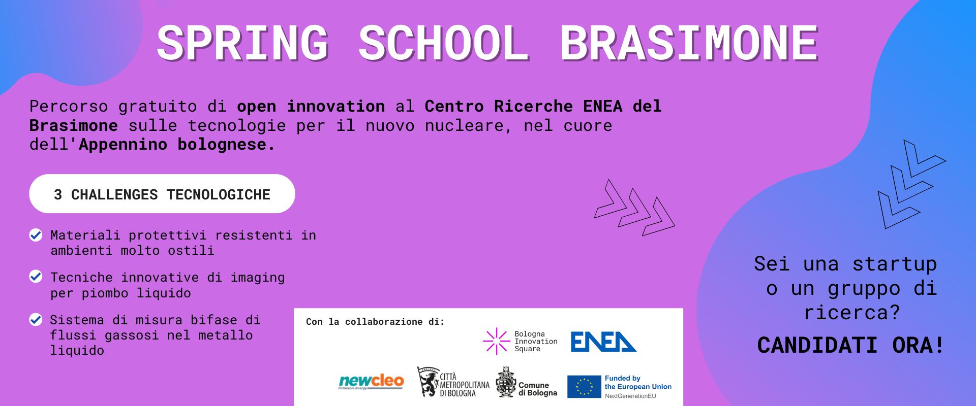 locandina evento_Spring School Brasimone