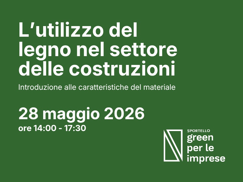 Costruzioni: laboratorio pratico sul legno