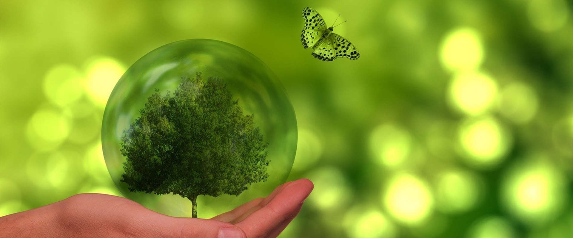 Nasce lo Sportello Green per le Imprese dell'Appennino Bolognese