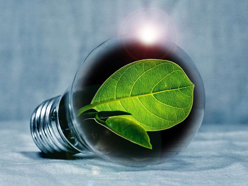 Nasce lo Sportello Green per le Imprese dell'Appennino Bolognese